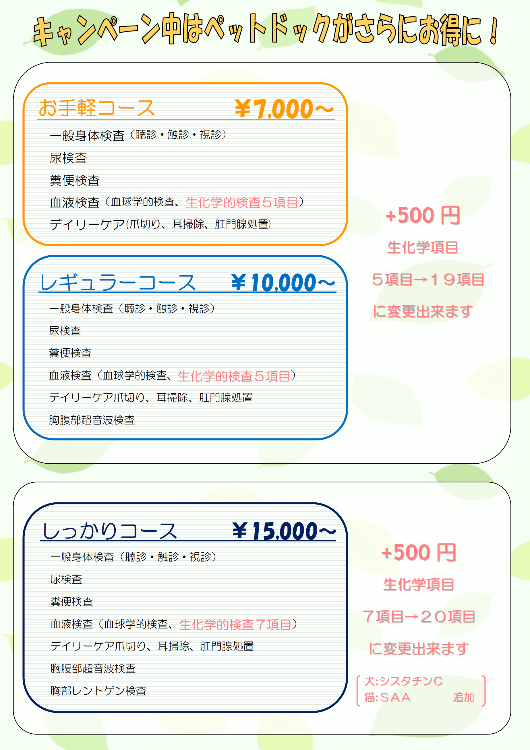 健診キャンペーンペットドック