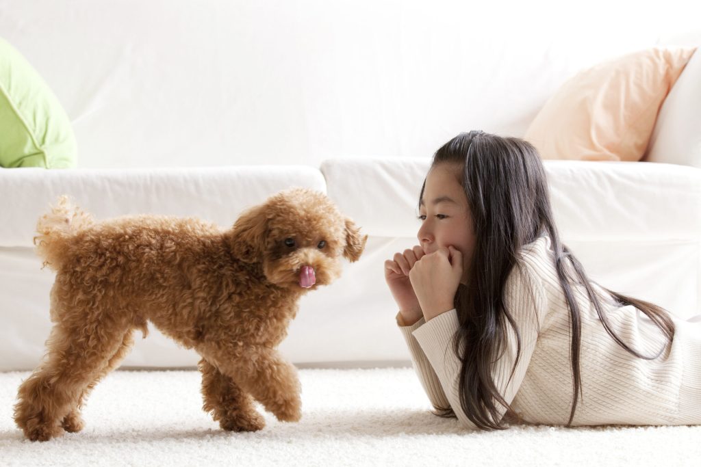 ペットのセカンドオピニオンの重要性