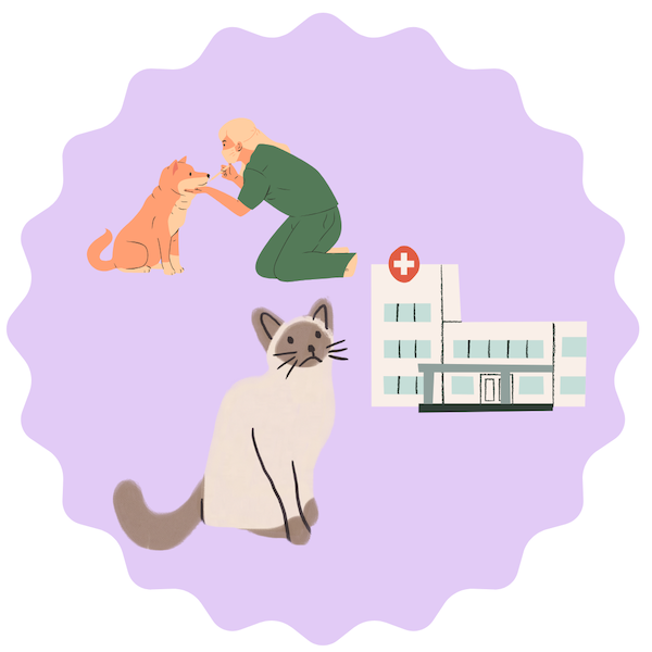 猫と病院