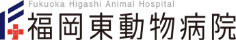 福岡東動物病院