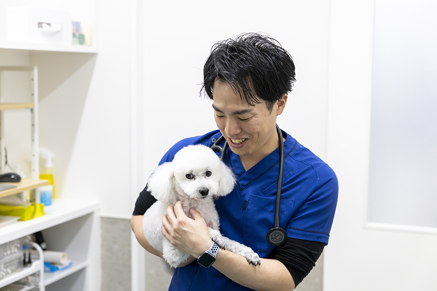 定期的な健康診断（ペットドック）の大切さ
