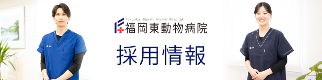 採用情報