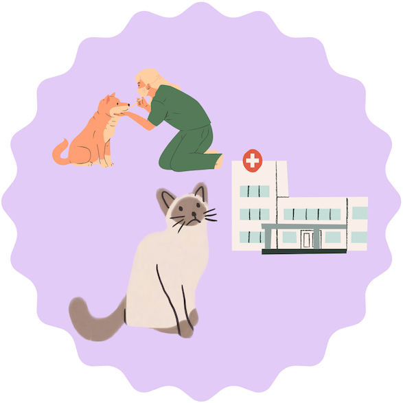 猫と病院
