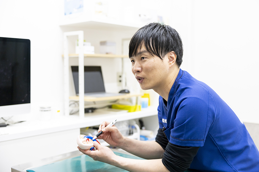 腫瘍科認定医のもとで高度な医療技術が学べる