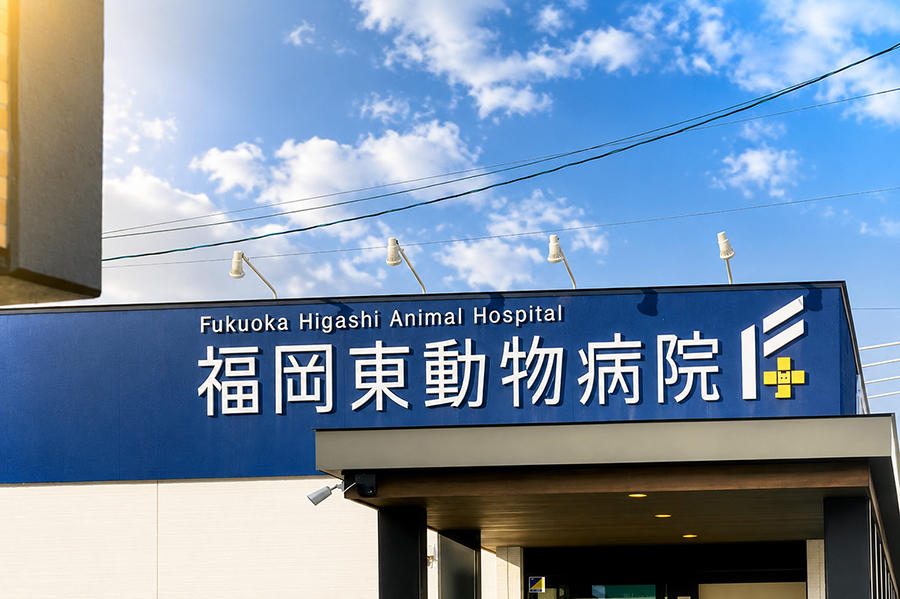 福岡東動物病院　院長 医師