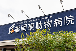 福岡東動物病院イメージ